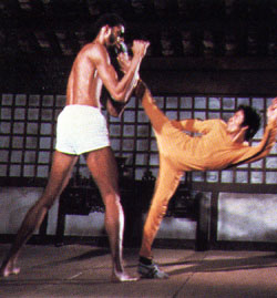 brucelee22.jpg (22800 bytes)